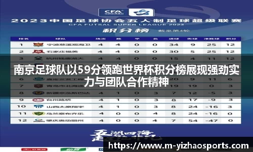 南京足球队以59分领跑世界杯积分榜展现强劲实力与团队合作精神
