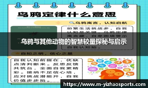 乌鸦与其他动物的智慧较量探秘与启示
